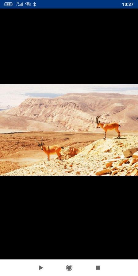 אלת המדברgoddess Of The Desert Be'er Ora Eksteriør bilde